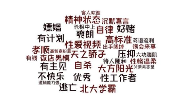 北大杀母事件最新消息，深度分析与反思